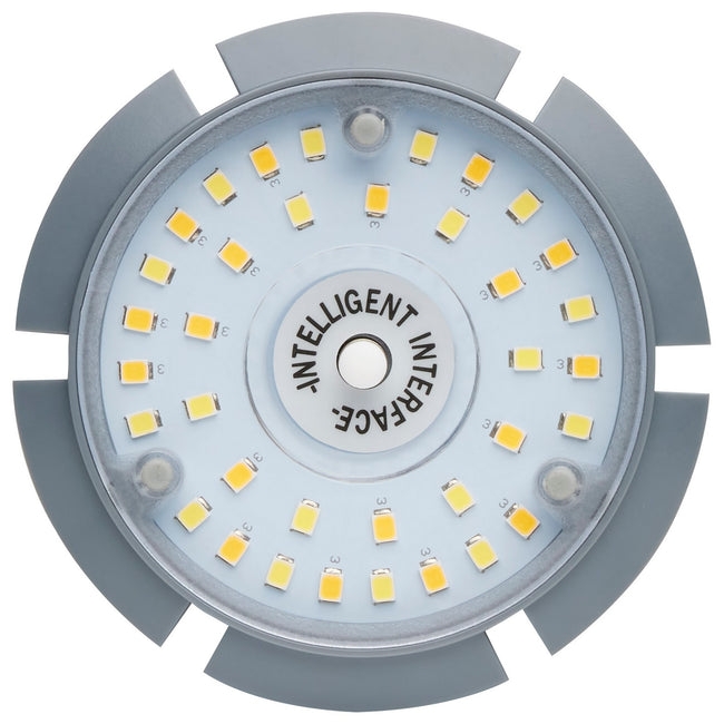 Satco-S23165|ALT|4
