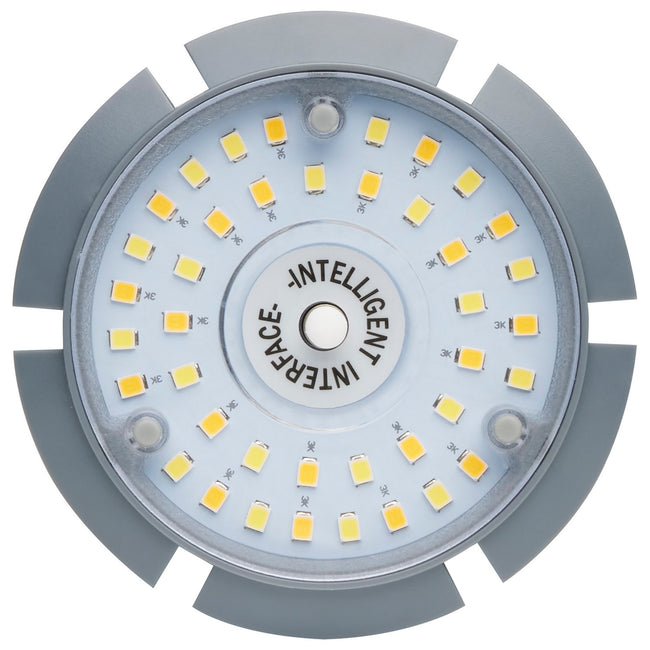 Satco-S23166|ALT|4
