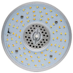 Satco-S23167|ALT|4