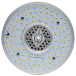 Satco-S23168|ALT|4
