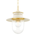 Nori Outdoor (Damp) Pendant by Mitzi