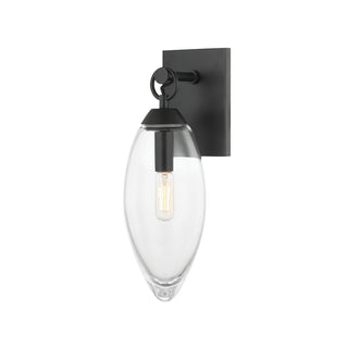Buy black-brass-with-clear-glass-and-clear-shade Nantucket Outdoor (Damp) Sconce by Hudson Valley