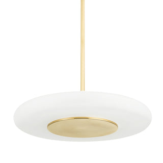 Blyford Outdoor (Damp) Pendant by Hudson Valley