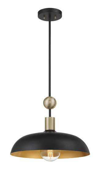 Buy coal-with-steel-glass-and-black-shade BILOXI Outdoor (Damp) Pendant by Minka-Lavery