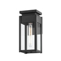 Braydan Outdoor (Wet) Wall Lanterns by Troy Lighting