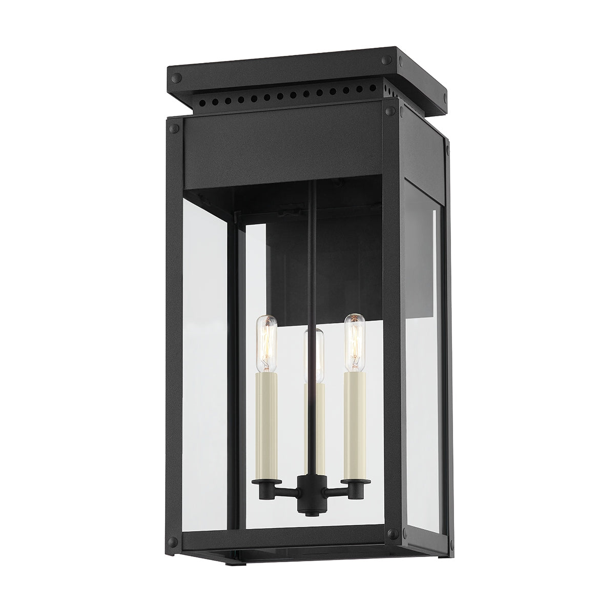Braydan Outdoor (Wet) Wall Lantern by Troy Lighting