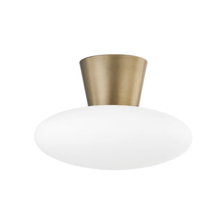 Brody Outdoor (Damp) Flush Mount Light by Troy Lighting