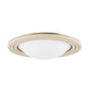 Zion Flush Mount Ceiling Light by Troy Lighting