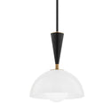 Payson Outdoor (Damp) Pendant by Troy Lighting