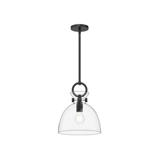 Buy matte-black-clear-glass-and-clear-shade Waldo Pendant by Alora