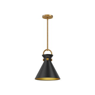 Buy aged-gold-matte-black-and-black-shade Emerson Pendant by Alora