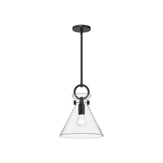 Buy matte-black-clear-glass-and-clear-shade Emerson Pendant by Alora