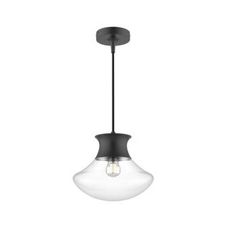 Buy matte-black-with-clear-glass-glass-and-clear-shade Marcel Pendant by Alora