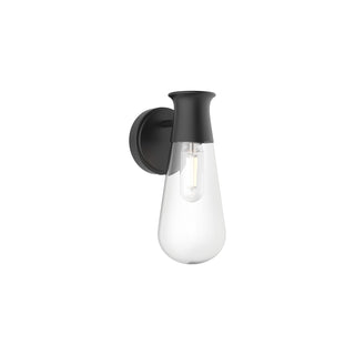 Buy matte-black-with-clear-glass-glass-and-clear-shade Marcel Outdoor (Damp) Sconce by Alora