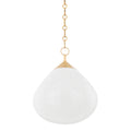 Semilla Outdoor (Damp) Pendant by Corbett Lighting