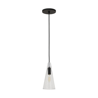 Buy nightshade-black-with-clear-glass-and-clear-shade Selina Outdoor (Damp) Pendant by Visual Comfort Modern