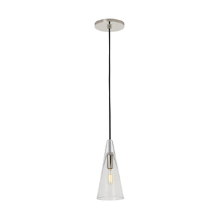 Buy polished-nickel-with-clear-glass-and-clear-shade Selina Outdoor (Damp) Pendant by Visual Comfort Modern