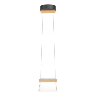 Buy black-with-clear-glass-zm-glass-and-clear-shade Cowbell Mini Pendant by Hubbardton Forge