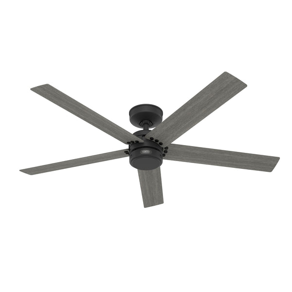 Burton Ceiling Fan by Hunter
