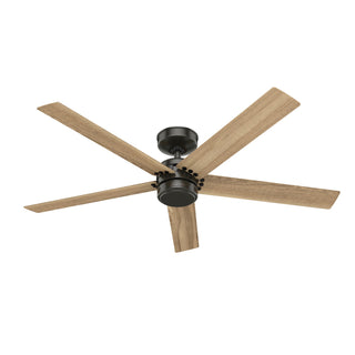 Buy noble-bronze-finish-with-golden-maple-blades Burton Ceiling Fan by Hunter