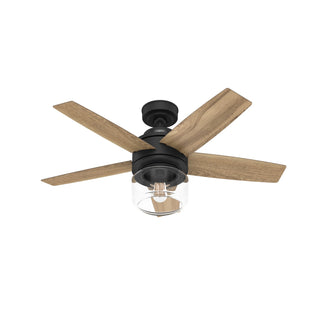 Buy matte-black-finish-with-golden-maple-blades Margo Ceiling Fan with Light by Hunter