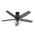 Gatlinburg Ceiling Fan with Light by Hunter