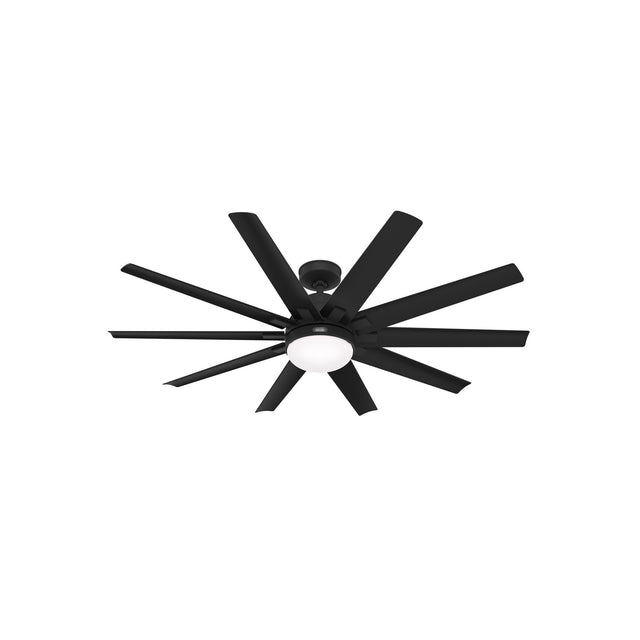 Overton Ceiling Fan with Light by Hunter