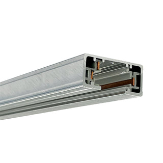 Buy natural-metal Track Syst &amp; Comp- Cir Outdoor (Damp) Rail Mounted Track Light by Nora Lighting