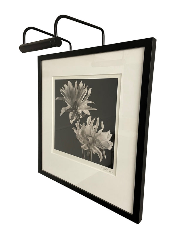 Slim-line Picture Light by House of Troy