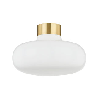 Eliana Outdoor (Damp) Flush Mount Light by Mitzi