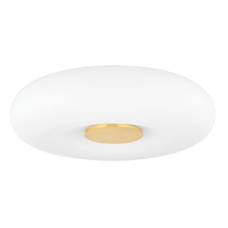 Imani Outdoor (Damp) Flush Mount Ceiling Light by Mitzi