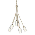 Flora Chandelier by Hubbardton Forge