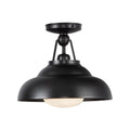 Palmetto Semi-Flush Mount Ceiling Light by Alora