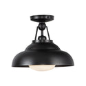 Palmetto Semi Flush Mount Light by Alora