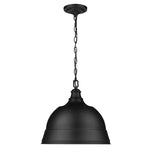 Golden-7313-L BLK|ALT|1