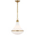 Hand-Rubbed Antique Brass with White Glass Glass and White Shade