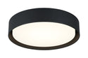 Ezra Ceiling Mount Light by Matteo Lighting