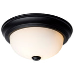 Nuvo Lighting-60-127|ALT|1