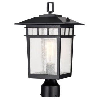 Buy textured-black Cove Neck Outdoor (Wet) Lantern by Nuvo Lighting