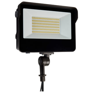 Buy bronze-with-clear-glass Outdoor (Wet) Floodlight by Nuvo Lighting