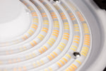 Nuvo Lighting-65-890|ALT|9