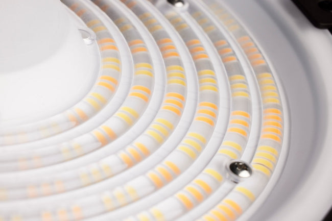 Nuvo Lighting-65-890|ALT|9