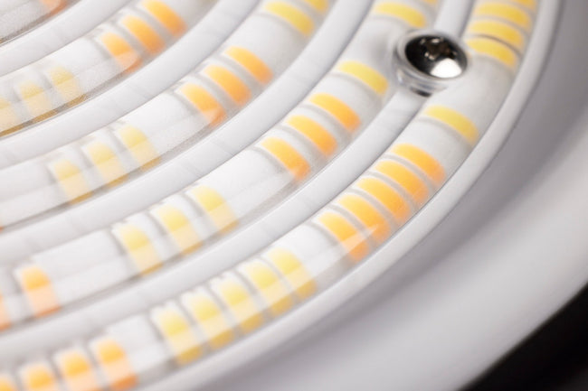 Nuvo Lighting-65-891|ALT|2