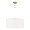 Alan Pendant by Capital Lighting