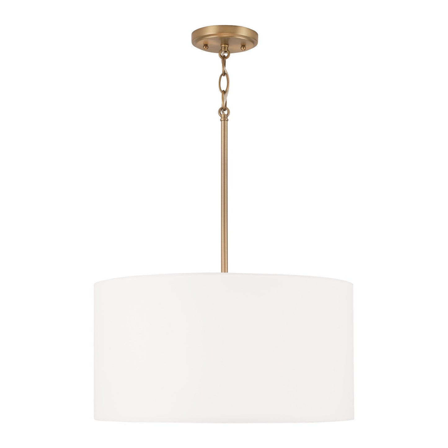 Alan Pendant by Capital Lighting