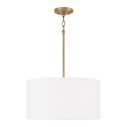 Alan Pendant by Capital Lighting
