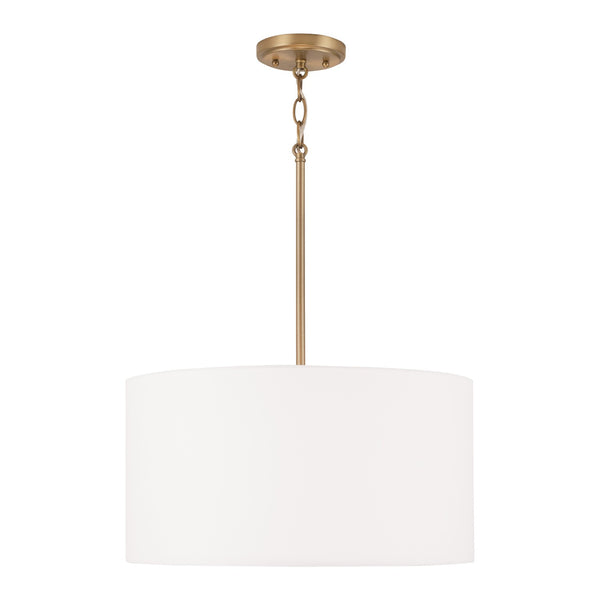Alan Pendant by Capital Lighting
