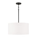 Alan Pendant by Capital Lighting