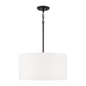 Alan Pendant by Capital Lighting