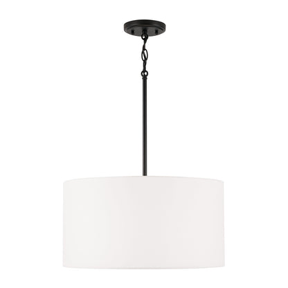 Alan Pendant by Capital Lighting